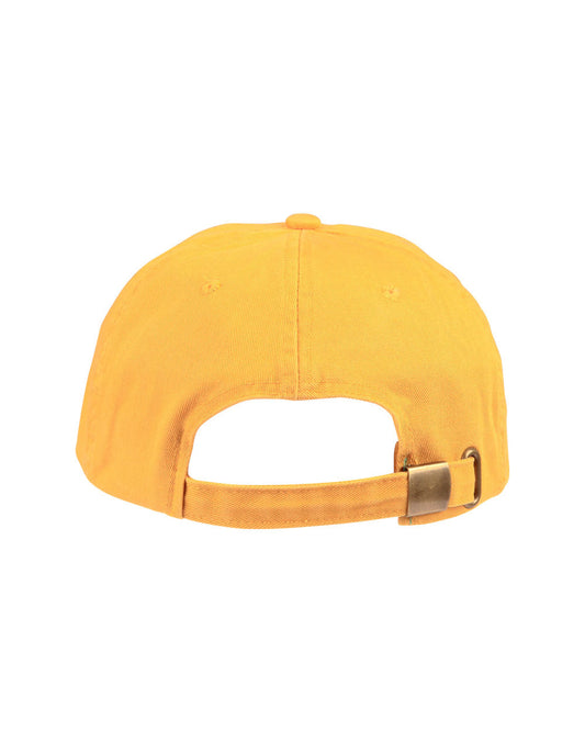 products/CAPS/CH40/CH40_Yellow.Navy_Back.jpg