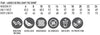 products/T-SHIRTS/TS40/TS40_size.jpg